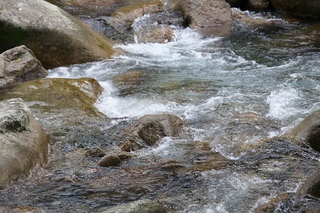 自然の味わいを生かした作品