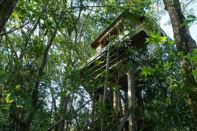 ミニツリーハウス