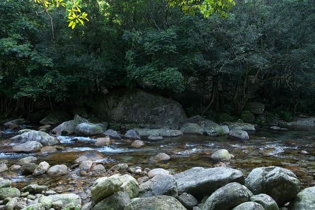 夏なら川遊びも、晴れた夜は星空やお月さまも楽しめますよ